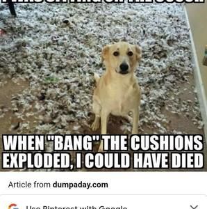 Meet your Posher, Aiden